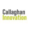 https://callaghaninnovation.govt.nz/ logo